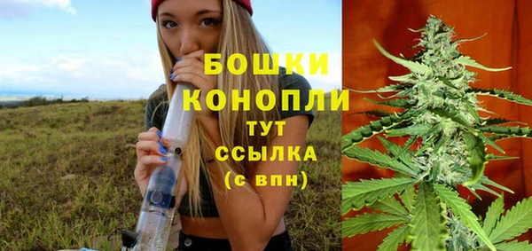 ГАЛЛЮЦИНОГЕННЫЕ ГРИБЫ Зеленокумск