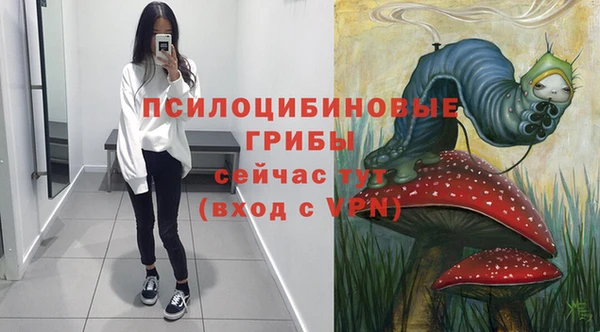 ГАЛЛЮЦИНОГЕННЫЕ ГРИБЫ Зеленокумск